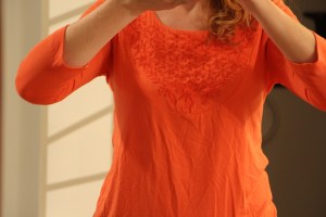 stitch fix skies are blue embroidered knit top